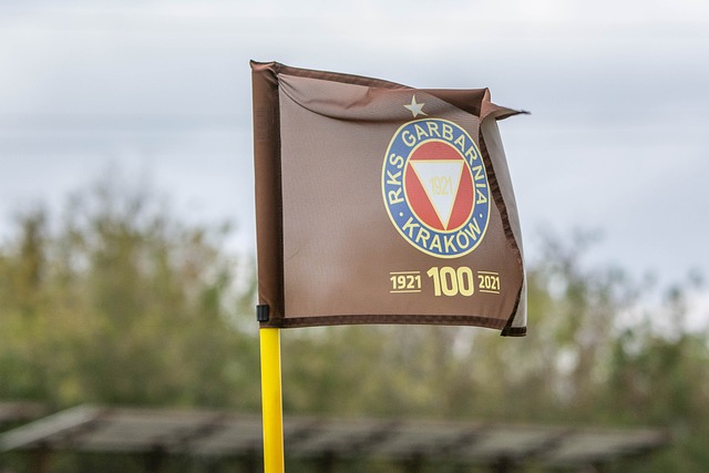 快船逆袭的 快船逆袭的