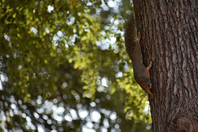 双向互动 双向互动