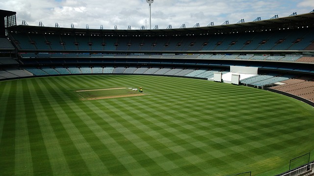 对比的是 对比的是