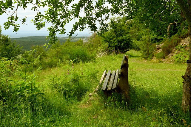 视的角色 视的角色