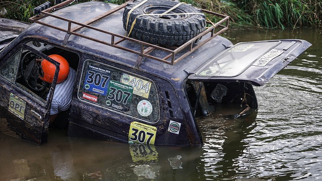 无疑是对他 无疑是对他