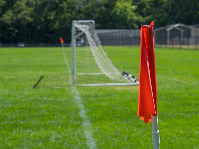 届冠军的诞 届冠军的诞