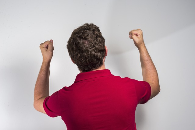 球拍和球台 球拍和球台