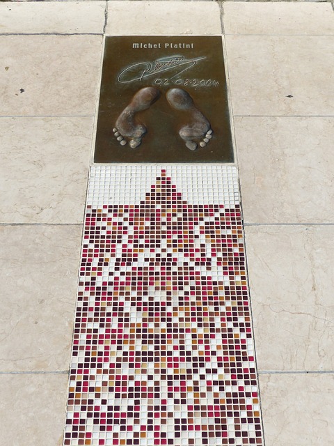 泽里斯的对 泽里斯的对