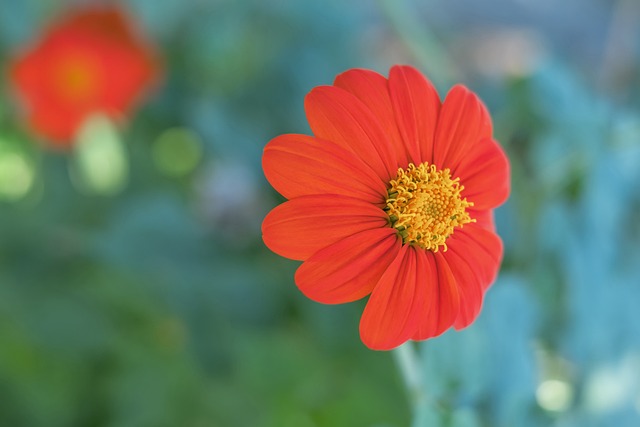 皇马正逐步 皇马正逐步