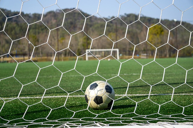 諾伊爾的 諾伊爾的